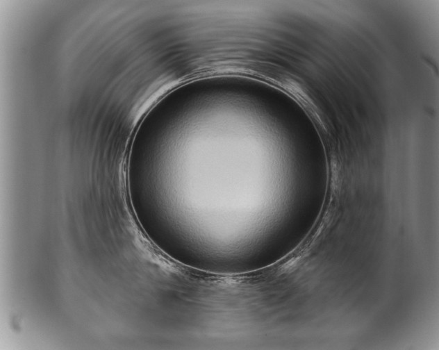 X0000100780814200806261628