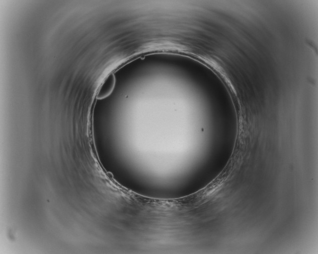 X0000100780815200806261628