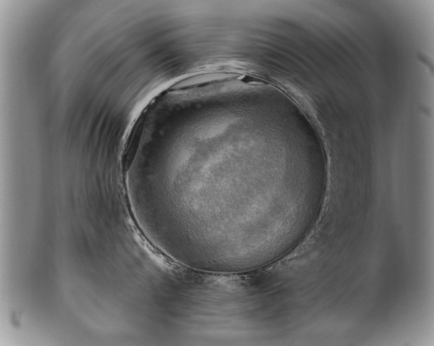 X0000100780816200806261628