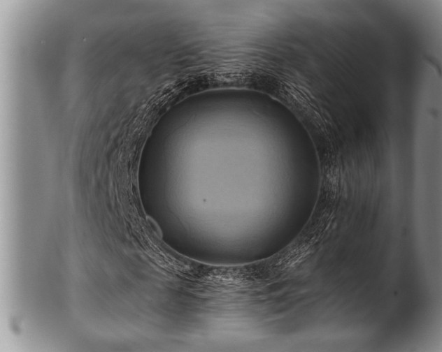 X0000100780817200806261627