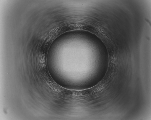 X0000100780818200806261627