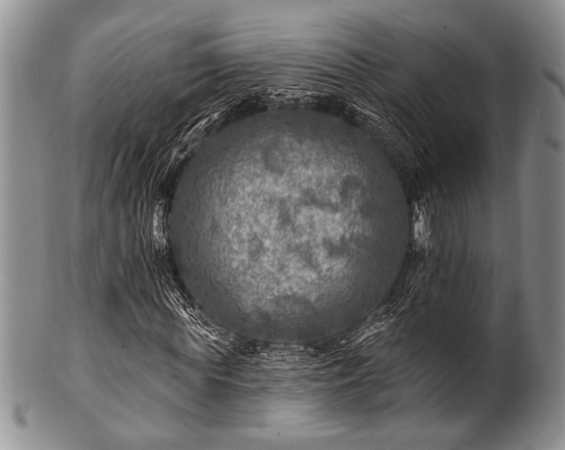 X0000100780819200806261627