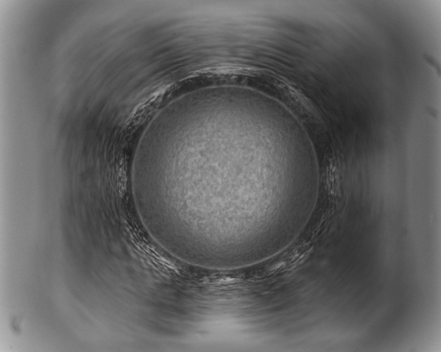 X0000100780821200806261627