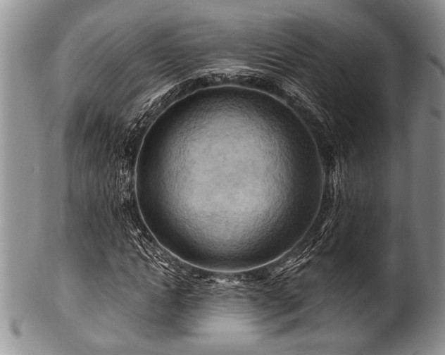 X0000100780822200806261627