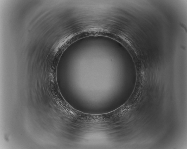 X0000100780823200806261627