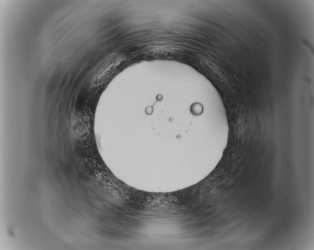 X0000100780824200806261627