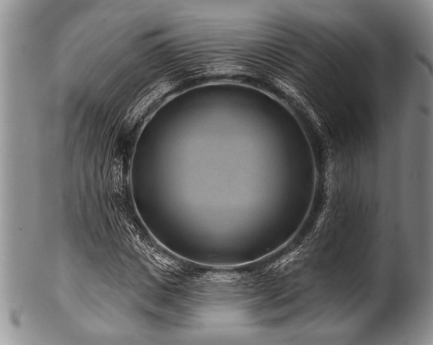 X0000100780825200806261627