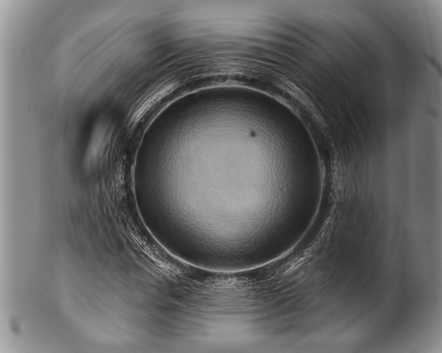 X0000100780826200806261627