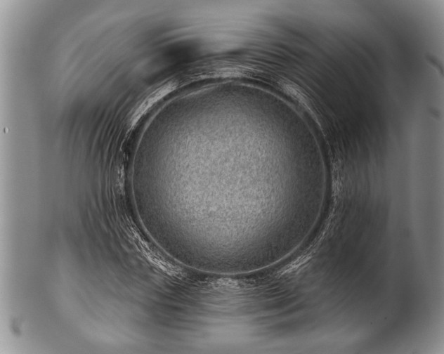 X0000100780827200806261627