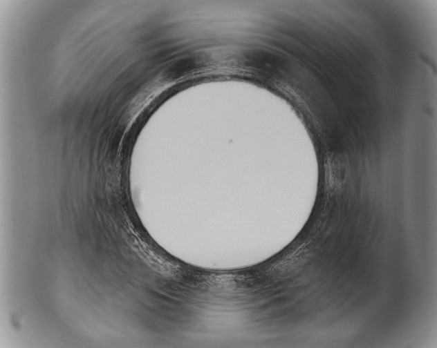 X0000100780828200806261627