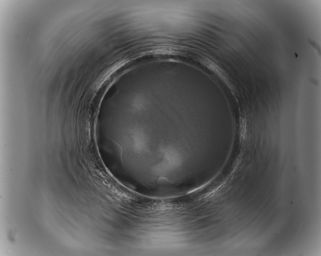 X0000100780829200806261627