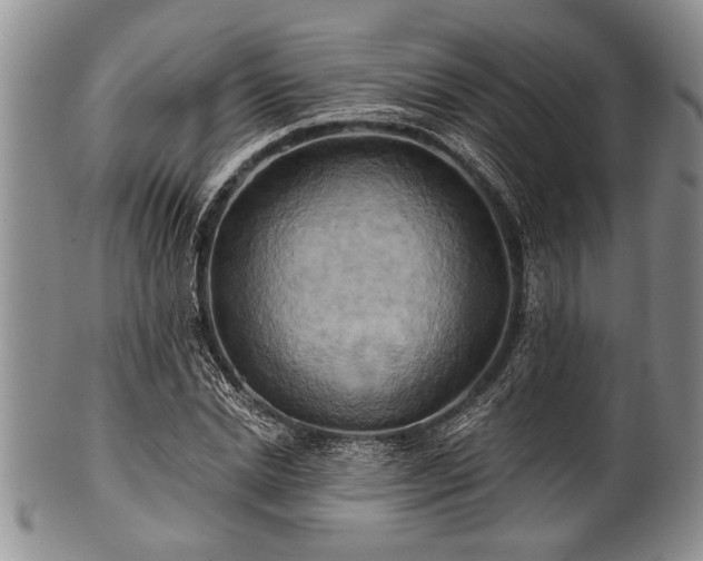 X0000100780830200806261627