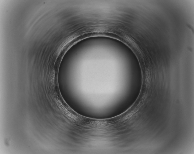 X0000100780831200806261627