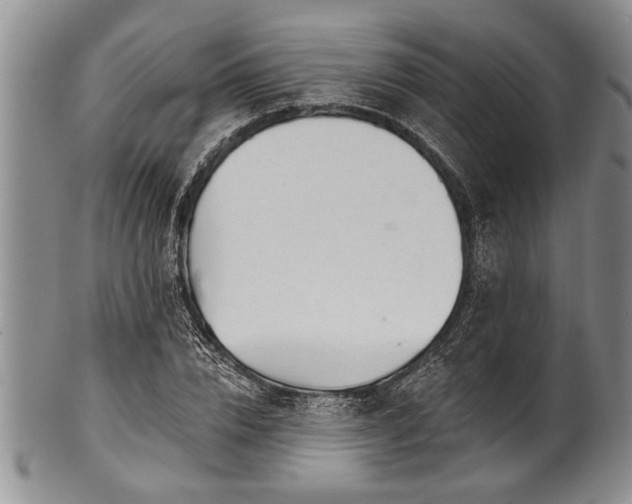 X0000100780832200806261627