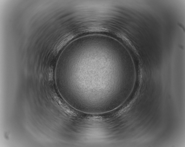 X0000100780833200806261627