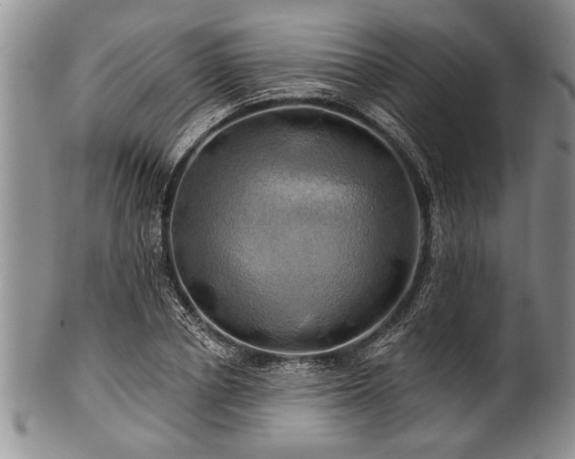 X0000100780834200806261627