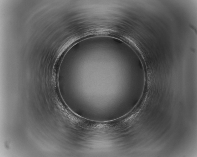 X0000100780835200806261627