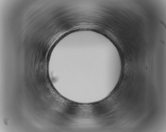 X0000100780836200806261627