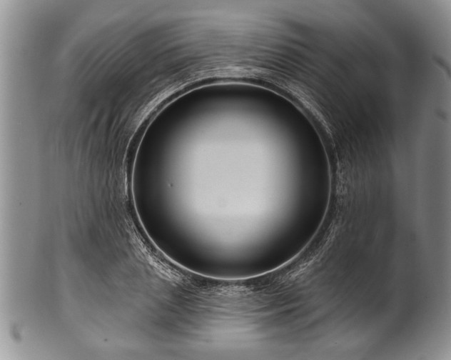 X0000100780837200806261627