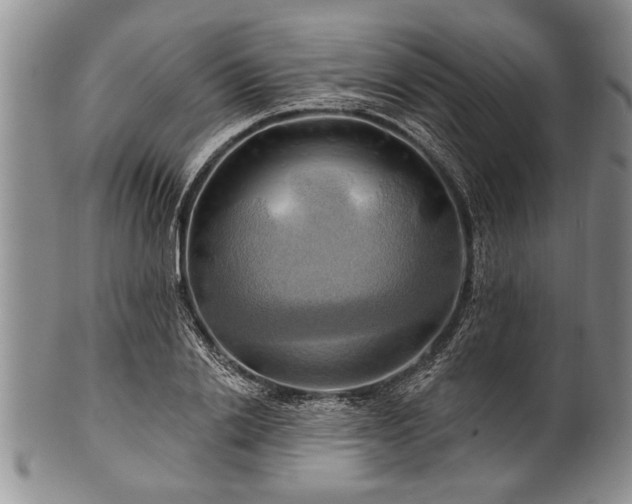 X0000100780838200806261627