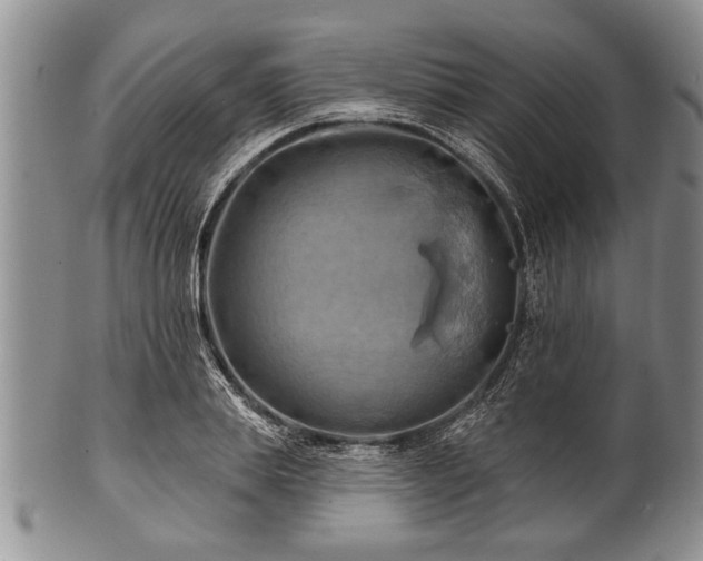 X0000100780839200806261627