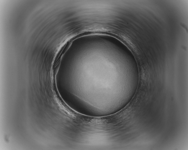 X0000100780840200806261627