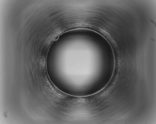 X0000100780841200806261627