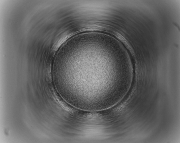 X0000100780842200806261627