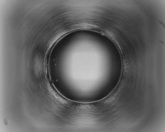 X0000100780843200806261627