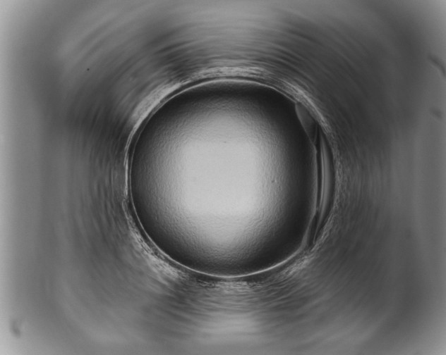 X0000100780844200806261627