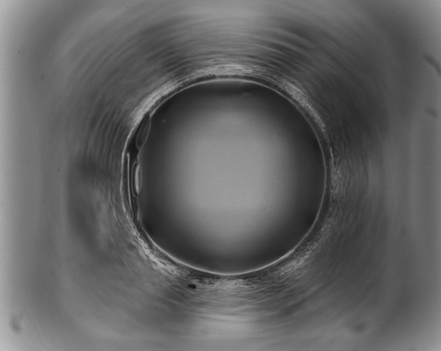 X0000100780845200806261627