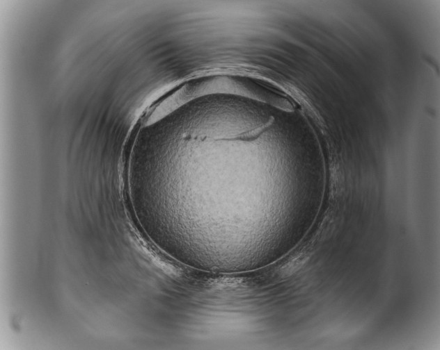 X0000100780846200806261627