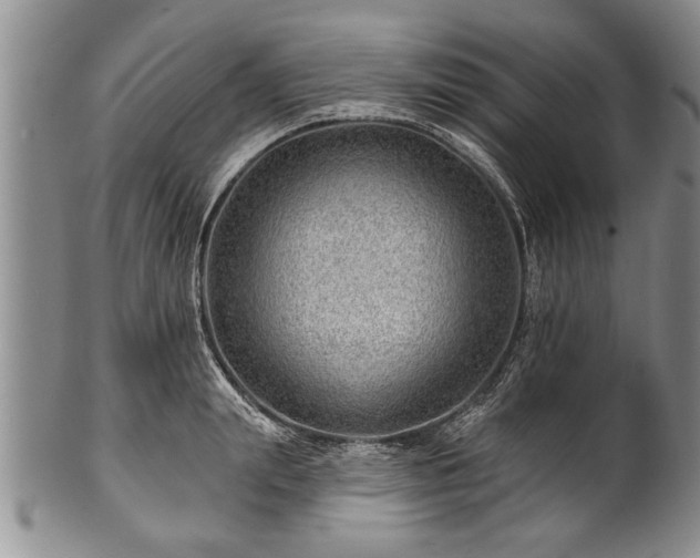 X0000100780847200806261627