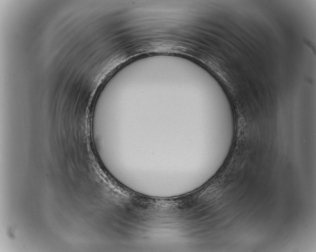 X0000100780848200806261627