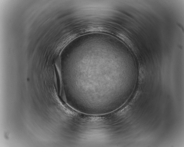 X0000100780849200806261627