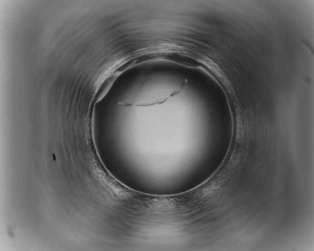 X0000100780850200806261627