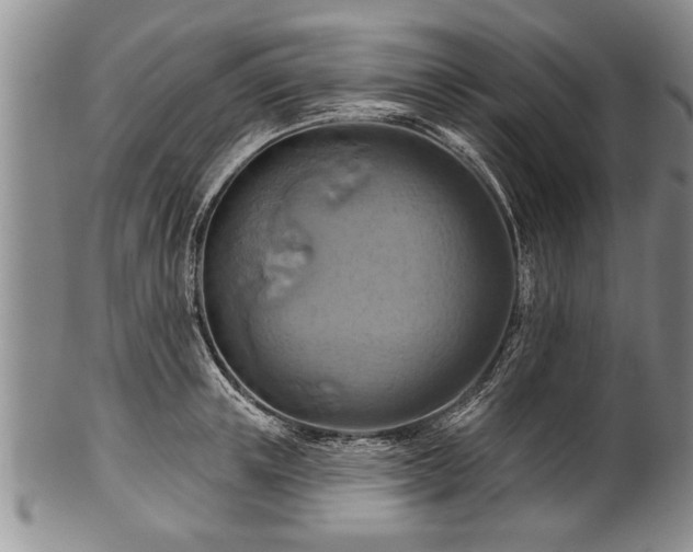 X0000100780851200806261627