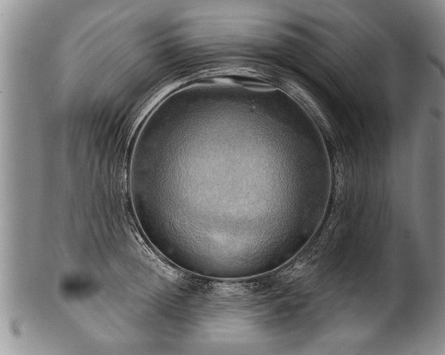 X0000100780852200806261627