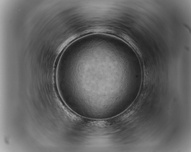 X0000100780853200806261627