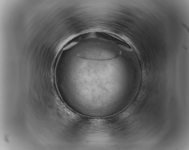 X0000100780854200806261627