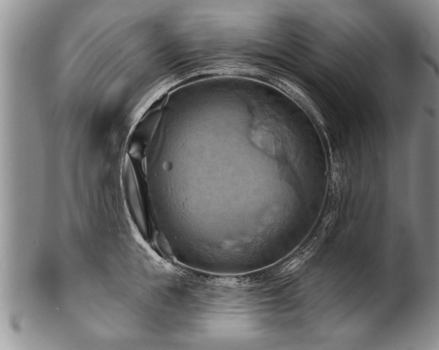 X0000100780855200806261627