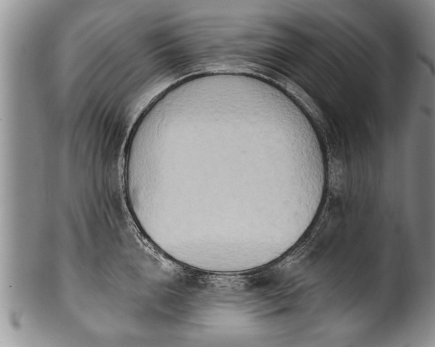 X0000100780856200806261627