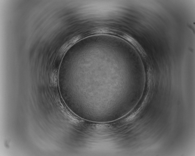 X0000100780857200806261627