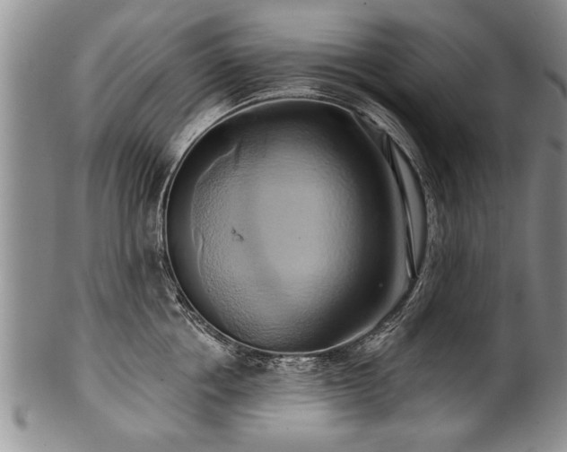 X0000100780858200806261627