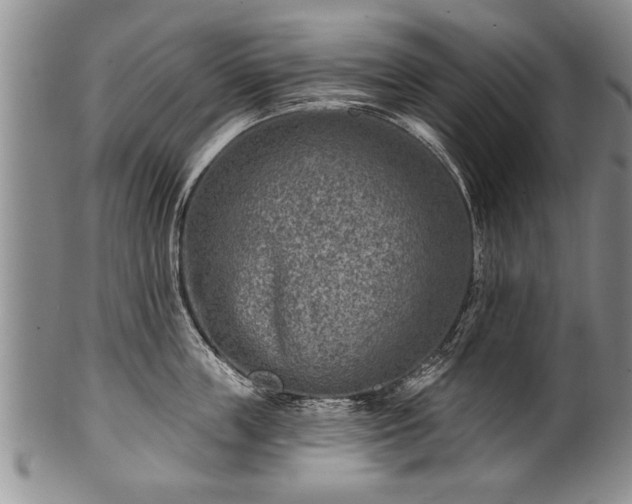 X0000100780859200806261627