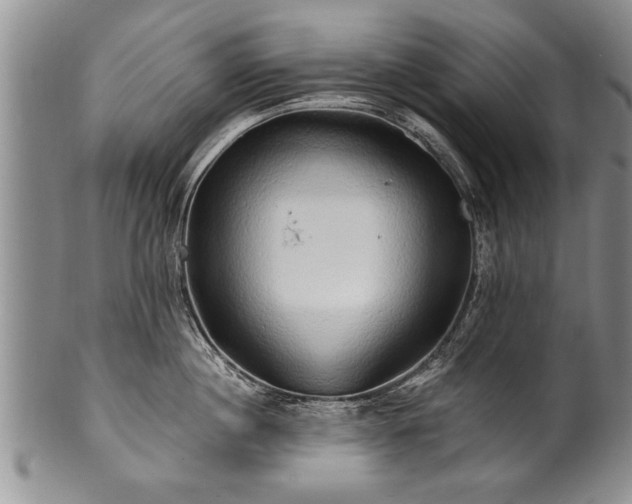 X0000100780860200806261627