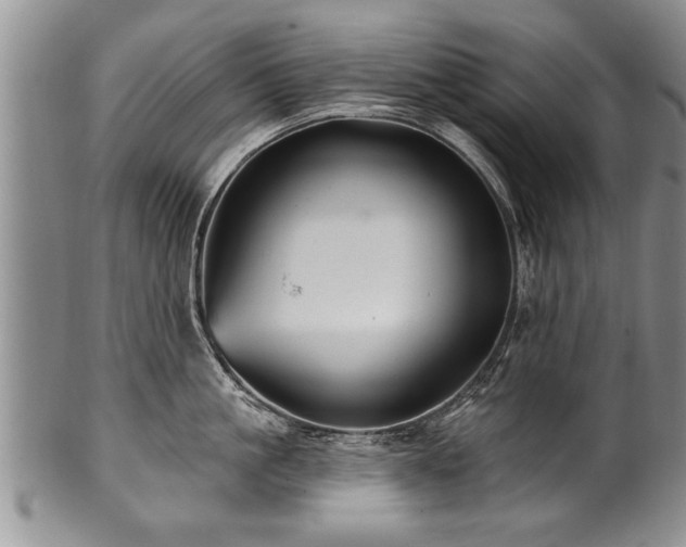 X0000100780861200806261627