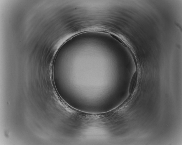 X0000100780862200806261627