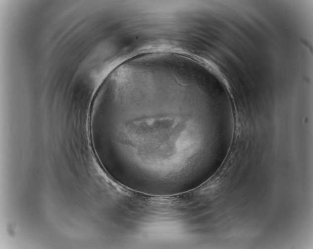 X0000100780863200806261627