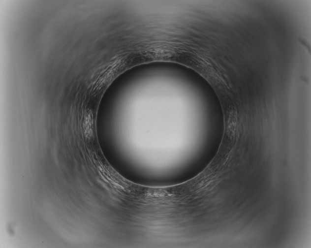 X0000100780866200806261627